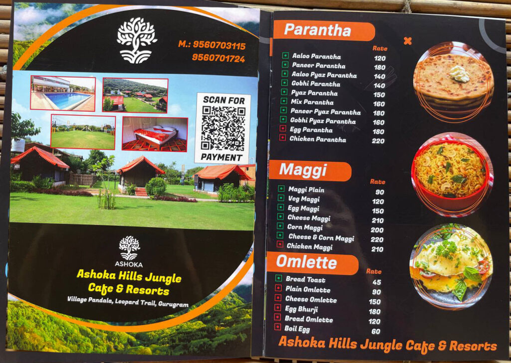 Cafe Restaurant - Ashoka Hills Jungle Cafe